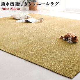 【送料無料】表情豊かな 撥水機能付き シェニールラグ claro クラーロ 200×250cm カーペット マット 長方形 撥水加工 洗濯可能 ホットカーペットカバー対応 コンパクト 軽量 すべり止め付き 滑り止め付き クッション性 ラグマット 絨毯 じゅうたん 春 夏