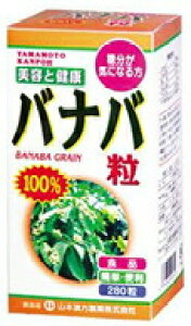 y10Zbgz oio@280×10Zbg R{ yKiz yŗΏەi