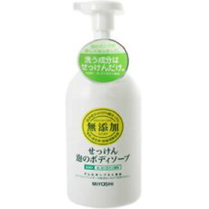 無添加 泡のボディソープ ポンプ(500mL) 【正規品】