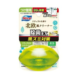 y10Zbgz ѐ t̃u[bg EX tOX k i`ȃ[t tւ(67ml)×10ZbgyKizyoriz