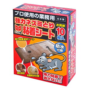 y10Zbgzy1P[Xz SHIMADA ̓lY~Ƃ SV[ghdl 10×10Zbg@1P[X@yKizyoriz