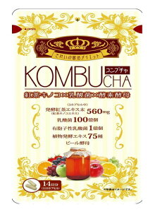 y `OE450~ zKOMBUCHA@42yKizRu`yt-16z yŗΏەi