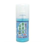 【5個セット】 カイゲンファーマ ブルーガーグルCP 300ml×5個セット 【正規品】