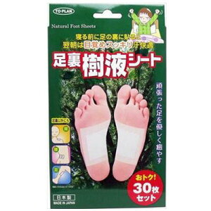 y10Zbgz̔ gv tV[g 30Zbg×10Zbg yKizyoriz