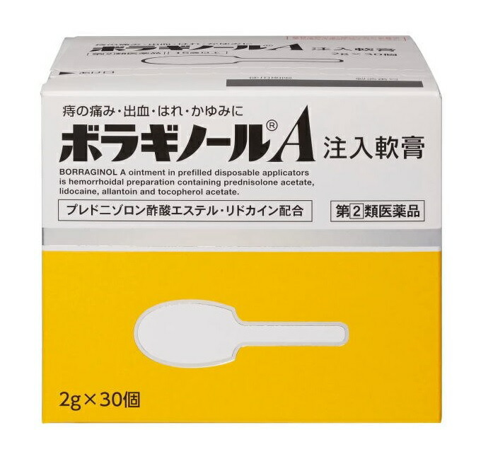  天藤製薬 ボラギノールA注入軟膏 2gx30個入×２０個セット 