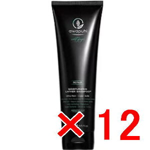 ���y���������z �|�[���~�b�`�F���^AWAPUHI WILD GINGER �^AWG ���C�X�`�����C�W���O ���U�[�V�����v�[J250mL �y12�z [ �������K�i ]