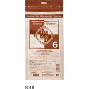 yz{OfbNX aʐ \ԁ@ BB6 120gi򕔊Oij  J[O