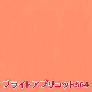 yz VEEG ^ tFCX J[ y M uCgAvRbg 564 ztB / shuuemura [ Ki ]@J[CNAbv