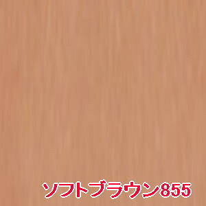 yz VEEG ^ tFCX J[ y P \tguE 855 ztB / shuuemura [ Ki ]@J[CNAbv