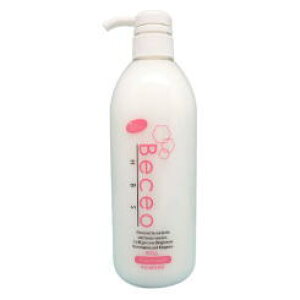 yz pCA  more ^ Beceo HBS i xZIGC`r[GX j g[gg 800g ^ eꔄi@wAVv[