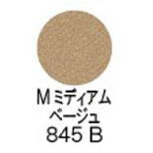 yz VEEG ^ vXh ACVh[itBj y M ~fBA x[W 845B z / shuuemura [ Ki ]@t@f[V