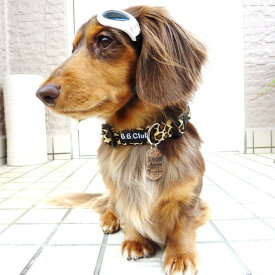 楽天市場 犬 首輪 アニマル柄の通販