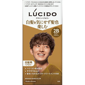 �}���_��LUCIDO ���V�[�h�f�U�C���w�A�J���[���_���u���E���������߁y��򕔊O�i�z�����Y �����p�w�A�J���[