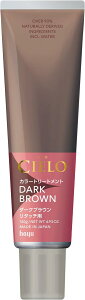 �z�[���[�V�G�� �J���[�g���[�g�����g ���^�b�`�p�_�[�N�u���E�� 140g�����P�A hoyu CIELO �J���[�g���[�g�����g