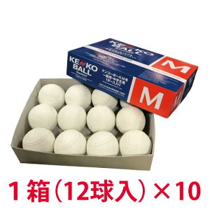 iKZPR[(KENKO) 싅 F PR[{[ M 싅 {[ 싅 w