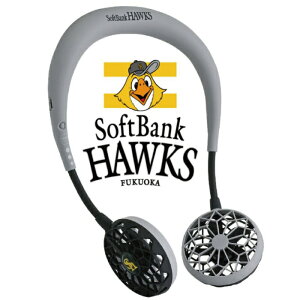 yzWFan _ut@ nYt[ ver.2.0 \tgoNf DF-2020SBH