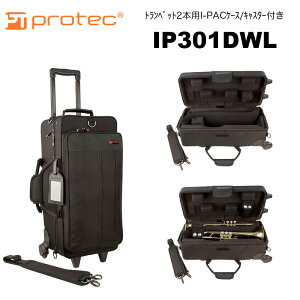 PROTECivebNjgybg2{pP[XELX^[t IP301DWL t@Xi[ / LX^[ /  IPAC Series gybg_uP[X@