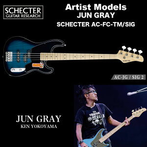 VFN^[ SCHECTER x[X / SCHECTER AC-FC-TM/SIG VFN^[Wp A[eBXgf JUN GRAYiKEN YOKOYAMAj 