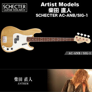 VFN^[ SCHECTER x[X / AC-ANB/SIG-1 VFN^[Wp A[eBXgf ēcliANTHEMj vVWx[X 