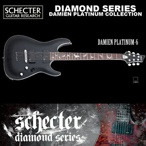 VFN^[ SCHECTER / DAMIEN PLATINUM-6 _~A v`i6 AD-DM-PTM 
