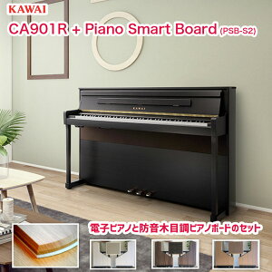 JC CA901R v~AZbg / nCNIeB[sAm{[hiPSB-S2jt / KAWAI dqsAm CA-901R [YEbh | hsAm{[hAsAmpېt