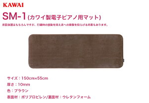 KAWAI dqsAmp}bg SM-1 | JC fW^sAmp ʕی hU