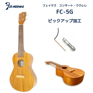 ウクレレ famous fs-5gの人気商品・通販・価格比較 - 価格.com