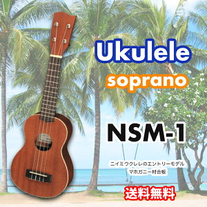EN Niimi Ukulele NSM-1 \vmEN jC~ EN NSM1 }zKj[@