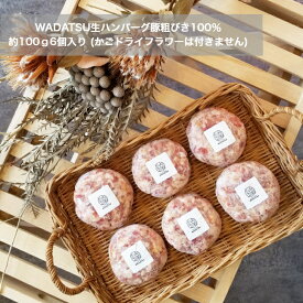 【送料無料】 お肉ギフト ハンバーグセット　豚あらびき100g×6個入り　快気祝い ハンバーグ ギフト 国産 SPF長崎県産　九州産 ホワイトデー 送料無料 冷凍 詰め合わせ 6個セット お肉ギフト ジューシーWADATSU生ハンバーグ お洒落肉ギフト