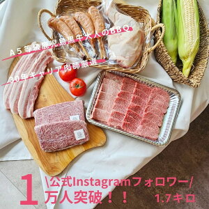 ySzlBBQZbg Ղ1.7kg A5 јa Ԑg ē Xe[L Y o { tECi[ BBQ o[xL[ Mtg Mtg v[g  j j 