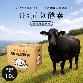 【全国送料無料】Gs酵素 Gs元気酵素 10L 牛用 豚用 仔牛 飼料添加 発酵 飼料効率 増体 食いつき改善 腸内環境 成長促進 畜産 農家 業務用 コスト削減