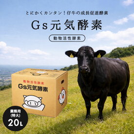 【全国送料無料】Gs酵素 Gs元気酵素 20L 牛用 豚用 仔牛 飼料添加 発酵 飼料効率 増体 食いつき改善 腸内環境 成長促進 畜産 農家 業務用 コスト削減
