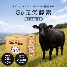【全国送料無料】Gs酵素 Gs元気酵素 20L ×5箱 牛用 豚用 仔牛 飼料添加 発酵 飼料効率 増体 食いつき改善 腸内環境 成長促進 畜産 農家 業務用 コスト削減