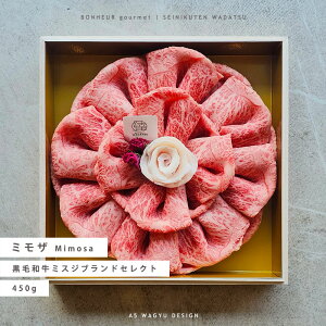 ySz~U 450g 2-3l Ԃ  A5 јa Mtg Mtg v[g  j j 䒆 Ε j Əj wj җj a HMtg NX