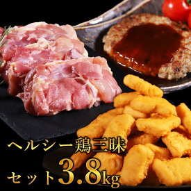 メガ盛 福袋 鶏肉 チキン 3.8kg 鶏モモ チキンナゲット ハンバーグ 訳あり 肉 食品 肉福袋 年末年始 ごちそう お取り寄せ お肉 詰め合わせ ホームパーティー グルメ パーティー 送料無料
