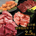 【12日9時59分まで12,960円→7,980円】 焼肉セット メガ盛 福袋 2.5kg 訳あり バーベキュー 肉 食品 BBQ 肉福袋 お肉 2025 詰め合わせ ホームパーティー グルメ 送料無料