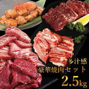 ēZbg K  2.5kg 󂠂 ^ n~ Jr z o[xL[   BBQ   lߍ킹 z[p[eB[ O p[eB[