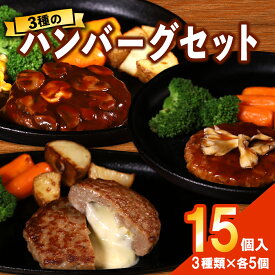 3種のハンバーグセット ハンバーグ 詰め合わせ お惣菜 惣菜 セット 湯煎 レンジ 冷凍 レトルト 冷凍食品 おかず 業務用