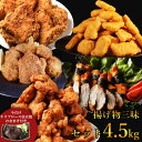 【11日9時59分まで9,960円→5,990円】 メガ盛 福袋 4.5kg 訳あり 肉 食品 肉福袋 お肉 2025 詰め合わせ ホームパーティー グルメ 送料無料