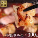 【11日1時59分まで980円→790円】 牛塩ホルモン300g ホルモン 塩 塩味 ギアラ おつまみ BBQ バーベキュー 焼肉 焼き肉…