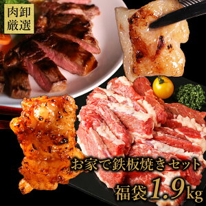お家で鉄板焼きセット 1.9kg 肉 牛肉 セット 焼肉 カルビ ホルモン ステーキ肉 ステーキ サーロイン 訳あり 焼肉セット メガ盛り 大容量 お取り寄せ 福袋