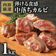 【11日9時59分まで6,980円→4,190円】 カルビ 中落ちカルビ 肉 焼肉 サイコロステーキ 中落カルビカット1…