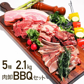 バーベキューセット 肉 福袋 焼肉セット メガ盛り カルビ ハラミ はらみ スペアリブ 骨付き肉 食材 バーベキュー セット インスタ映え 福袋 お取り寄せグルメ パーティーセット bbq 2.1kg 6～10人前 母の日 プレゼント