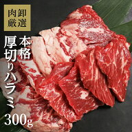 肉 ハラミ はらみ 牛はらみ bbq バーベキュー 味付けなし 焼き肉 焼肉 訳あり 牛肉 牛 冷凍 小分け 本格 …