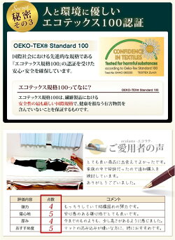 アイリスオーヤマエコラテパッド≪シングル≫SEC-S高弾性ノンスプリング敷きパッドベッドパッド【寝具通販人気高反発沈み込み快眠】ホワイト【マットレス】【新生活】【ecolatte】送料無料