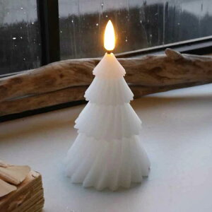 Lh LEDLh Cg NX}X  킢 k   e[u   u G NX}XG Mtg v[g 낤 [\N CeA yBz