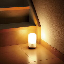 センサーライトLED【送料無料】アイリスオーヤマ★乾電池式LEDセンサーライトBSL-10Lホワイトあす楽【室内室外LED照明乾電池式】