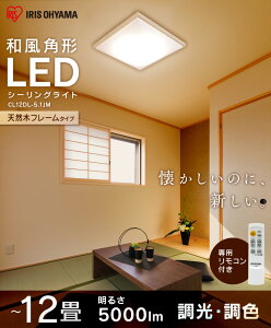 ső3,000~offN[|20~tV[OCg 12 ap` ACXI[}  F CL12DL-5.1JM V[OCg VR ؘg a 12 ledV[OCg 12p VƖ t