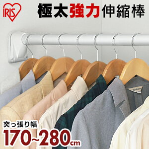 ső3,000~offN[|20~tɑ͐Lk_ H-GBJ-280 (170`280cm) ACXI[}