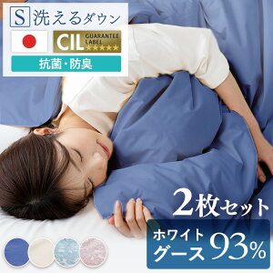 WGD93%0.2kg �V���O�� �_�E���P�b�g �|���z�c �|�z�c �z�c �V���O���T�C�Y �z���C�g�O�[�X�_�E�� �_�E�� �yTD�z�y����s�z[2604SO]